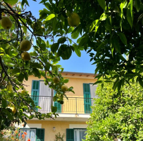 Appartamento Iside Vallecrosia